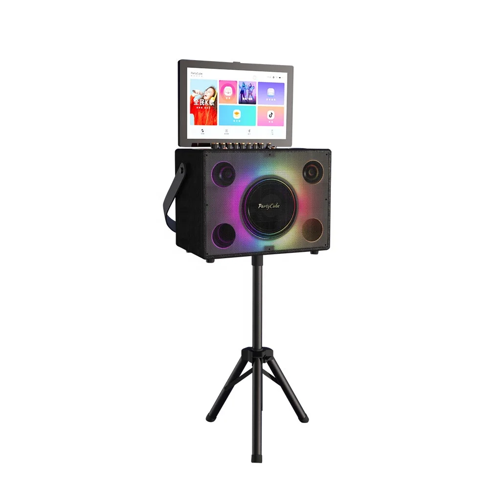 Entertainment Portable Karaoke - Karaoke Machine Portable With 2 Mic ulasan dan harga