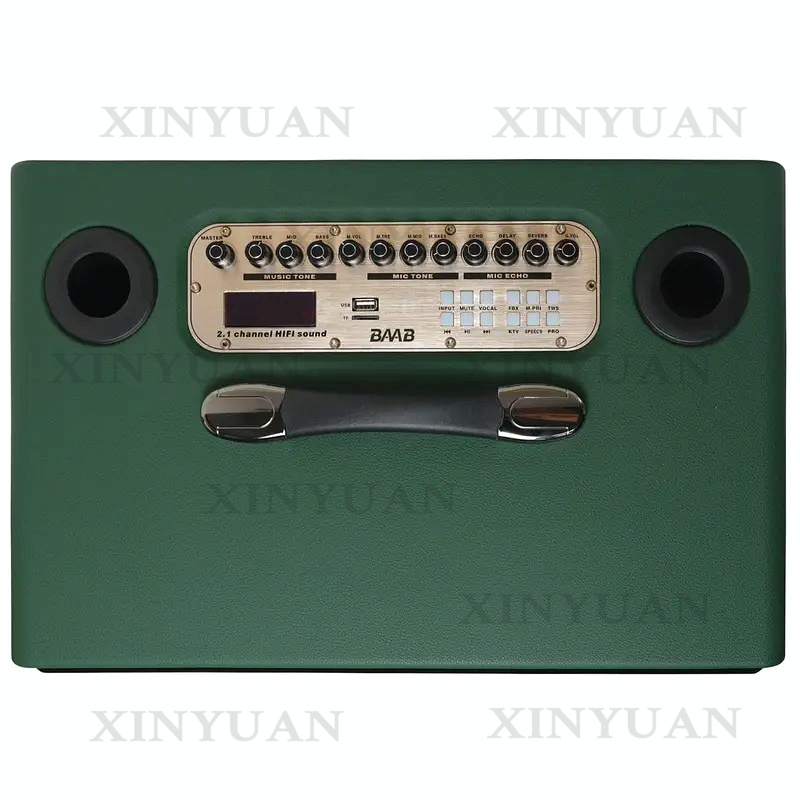 Karaoke Speaker, 8-Inch Wooden - Karaoke Speaker System 100W Rgb ulasan dan harga