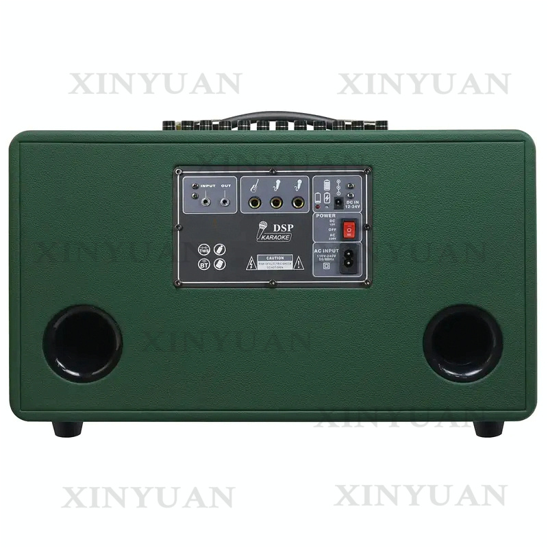 Karaoke Speaker, 8-Inch Wooden - Karaoke Speaker System 100W Rgb ulasan dan harga