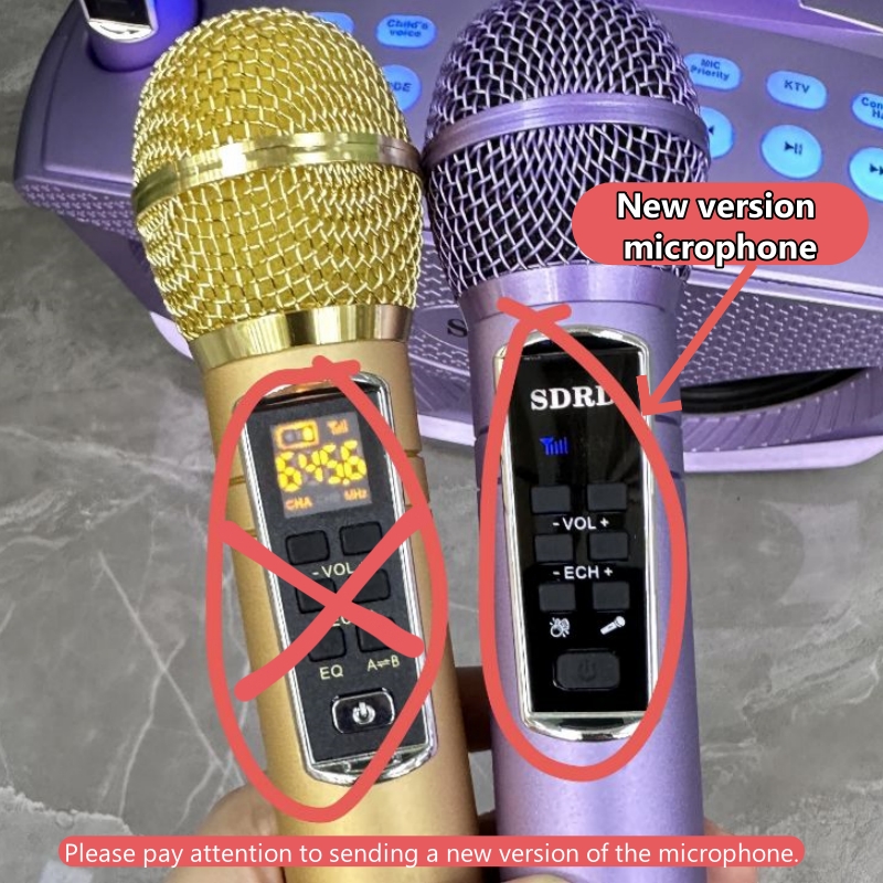 SD306Plus Professional Karaoke - Karaoke Machine Portable With 2 Mic ulasan dan harga