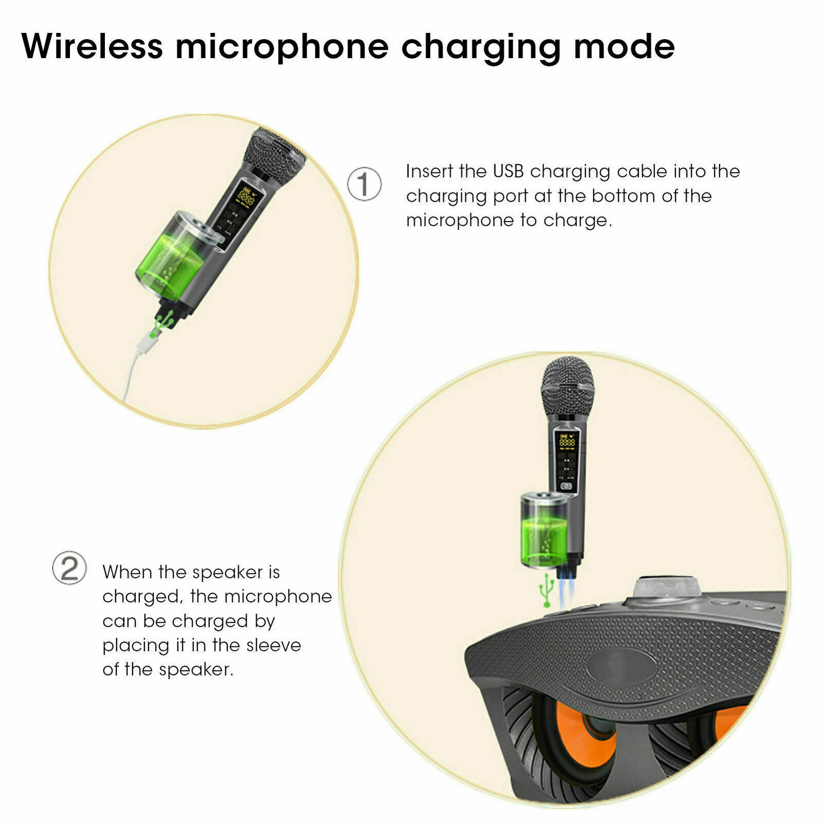SD306Plus Professional Karaoke - Karaoke Machine Portable With 2 Mic ulasan dan harga