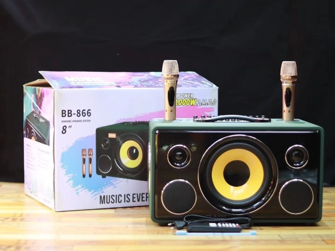 Professional 8-Inch HIFI Bass  - Karaoke Speaker System 100W Rgb ulasan dan harga