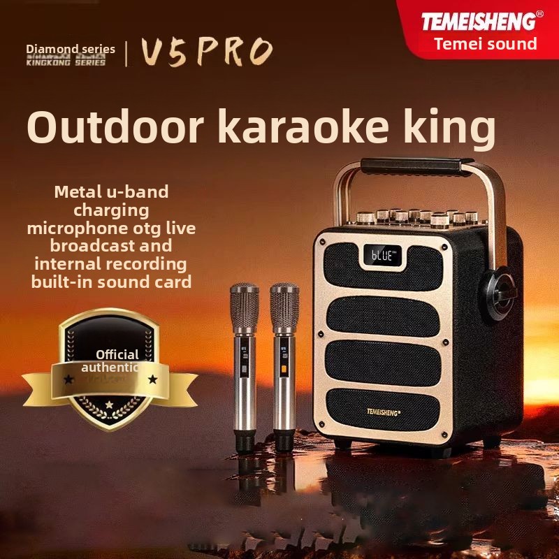 For TEMEISHENG V5Pro Bluetooth - Pa Sound System Battery Portable Outdoor ulasan dan harga