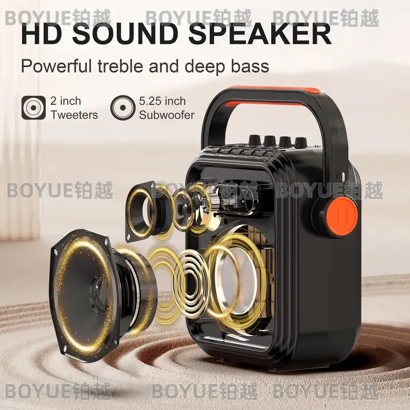 Portable Karaoke Machine with  - Karaoke Machine Portable With 2 Mic ulasan dan harga